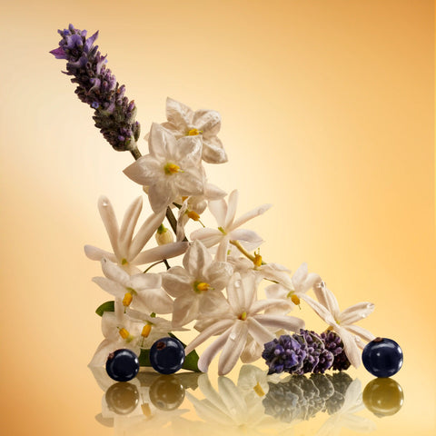 STAR CONFIDENCE PERFUME GIFT SET