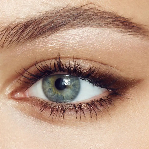 THE CLASSIC CLASSIC BROWN